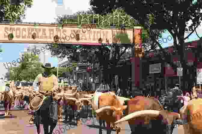 A Cattle Drive In Fort Worth's Historic Stockyards National Historic District Audelia S Adventures: 1: Going To Texas