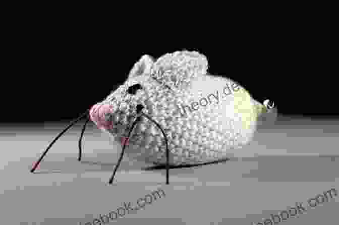 A Cute And Playful Crocheted Catnip Mouse. Crocheting For Cats: Cute And Simple Patterns To Crochet For Your Cats