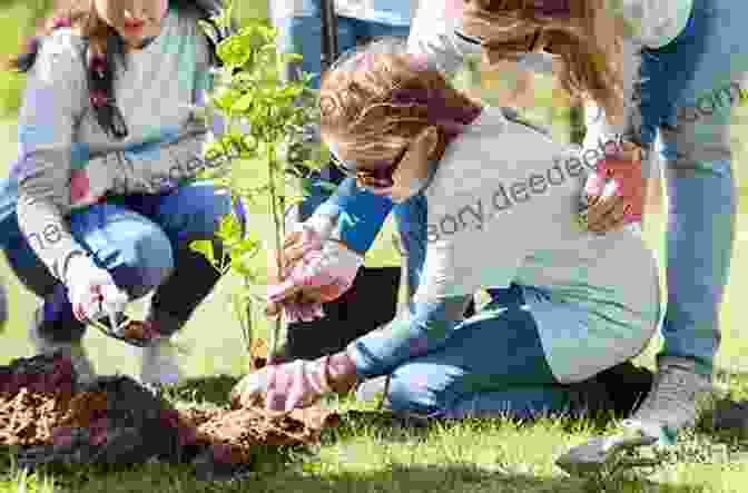A Group Of Volunteers Planting Trees On A Hillside Our Island Story H E Marshall