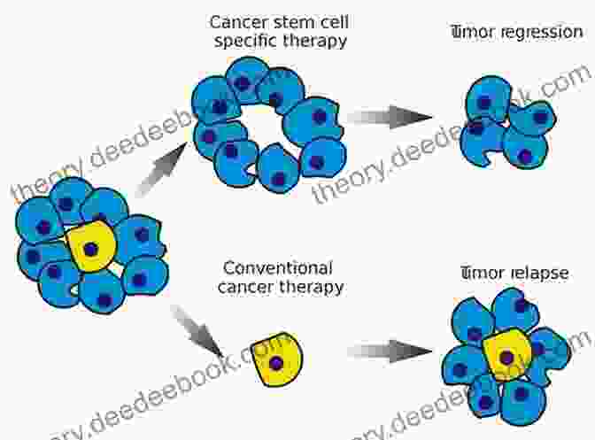 A Microscope Image Of Stem Cells And Cancer Stem Cells Stem Cells And Cancer Stem Cells Volume 1: Stem Cells And Cancer Stem Cells Therapeutic Applications In Disease And Injury: Volume 1