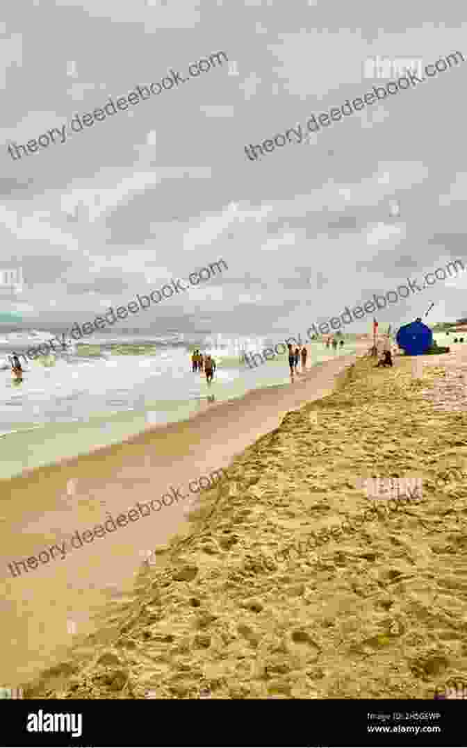 A Panoramic View Of The Jersey Shore With Swimmers And Sunbathers Enjoying The Beach Wildlife: 1 Day In New Jersey 2024: A Photographic Collection: Vol 3 (Wildlife: New Jersey)