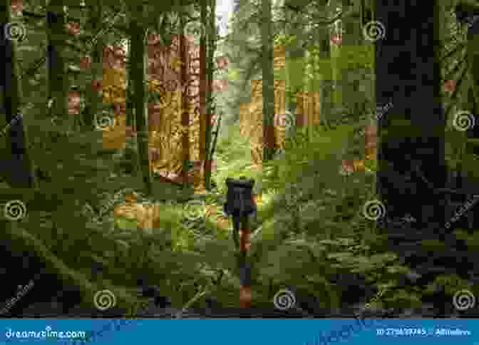 A Rugged Trail Leading Through A Dense Forest, Surrounded By Towering Trees Track Of The Grizzly: Crow Killer 3