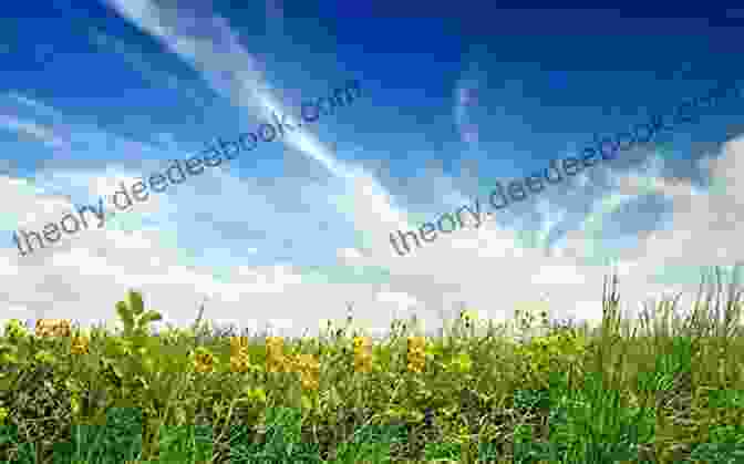 A Woman Standing In A Field Of Flowers, Looking Up At The Sky. The Sky Is A Swirling Vortex Of Colors, Representing The Passage Of Time. Where Time Begins: A Novel