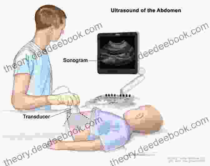 Abdominal Ultrasound Image Ultrasonography In The ICU: Practical Applications