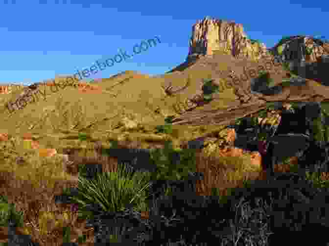 Rugged Mountains And Desert Landscape In Guadalupe Mountains National Park Audelia S Adventures: 1: Going To Texas