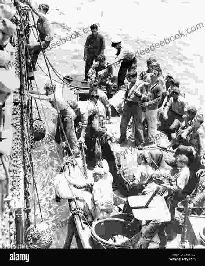 Survivors Finally Being Rescued From The Island Beneath The Wreckage (The Wrecked 5)