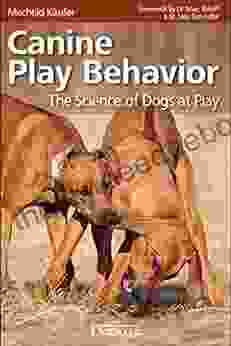 Canine Play Behavior The Science Of Dogs At Play