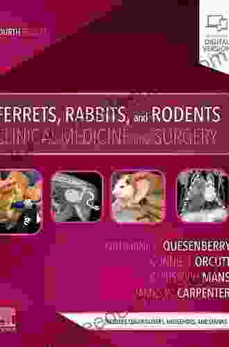 Ferrets Rabbits And Rodents: Clinical Medicine And Surgery