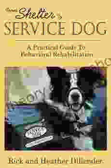 From Shelter To Service Dog