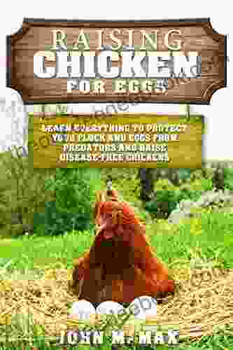 Raising Chickens For Eggs: Learn Everything To Protect Your Flock And Eggs From Predators And Raise Disease Free Chickens (Backyard Homesteading 2)