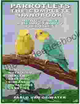 PARROTLETS THE COMPLETE HANDBOOK HOW TO RAISE A HEALTHY HAPPY PARROTLET: PARROTLETS ARE EXCELLENT HUMAN COMPANIONS (PARROTLETS COLLECTION 2)