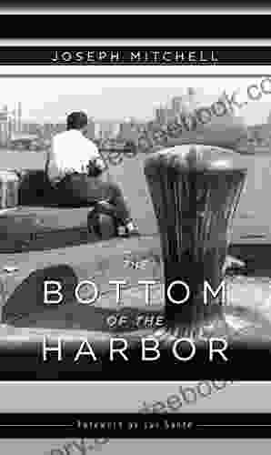 The Bottom Of The Harbor