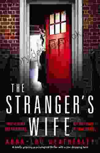 The Stranger S Wife: A Totally Gripping Psychological Thriller With A Jaw Dropping Twist (Detective Dan Riley 3)