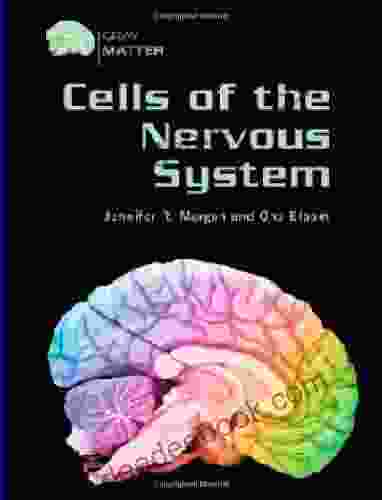 Cells Of The Nervous System (Gray Matter)